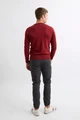 Jersey Williot hombre burdeos - espalda