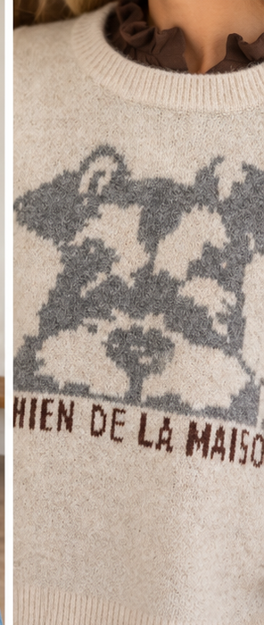 Chaleco MDM perro detalle